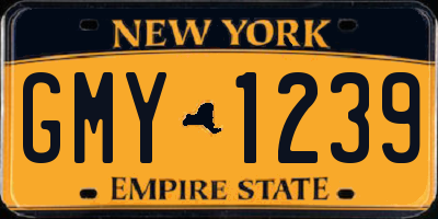 NY license plate GMY1239