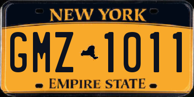 NY license plate GMZ1011