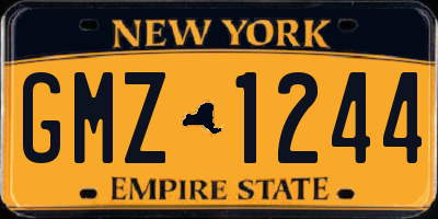 NY license plate GMZ1244