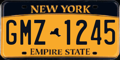 NY license plate GMZ1245
