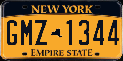 NY license plate GMZ1344