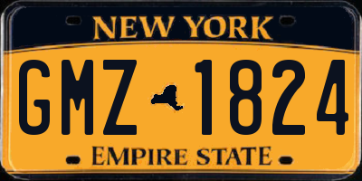 NY license plate GMZ1824