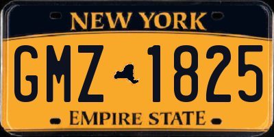 NY license plate GMZ1825
