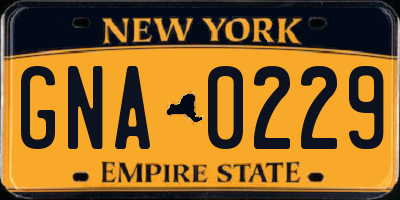 NY license plate GNA0229