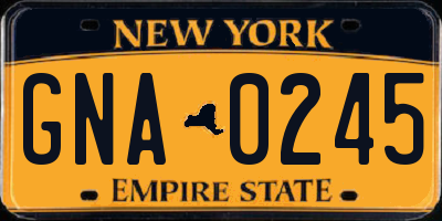 NY license plate GNA0245