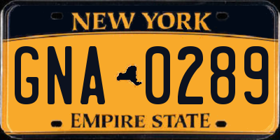 NY license plate GNA0289