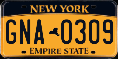 NY license plate GNA0309