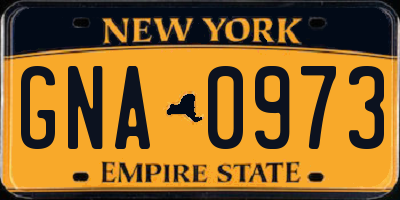 NY license plate GNA0973