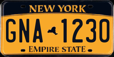NY license plate GNA1230