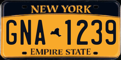 NY license plate GNA1239