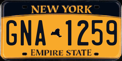 NY license plate GNA1259