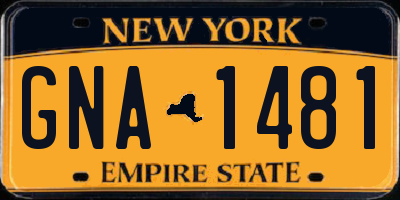 NY license plate GNA1481