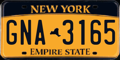 NY license plate GNA3165
