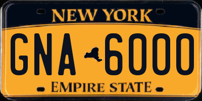 NY license plate GNA6000