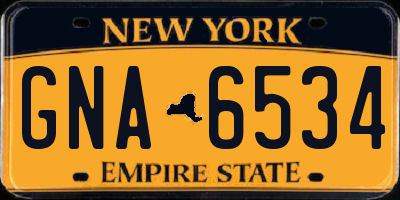 NY license plate GNA6534