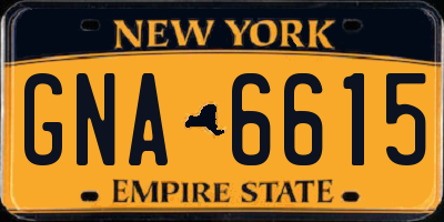 NY license plate GNA6615
