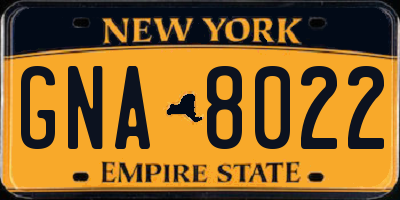 NY license plate GNA8022