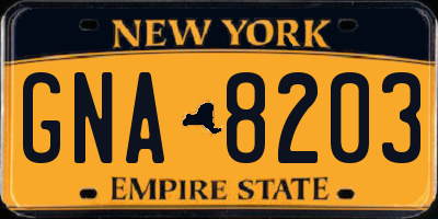NY license plate GNA8203
