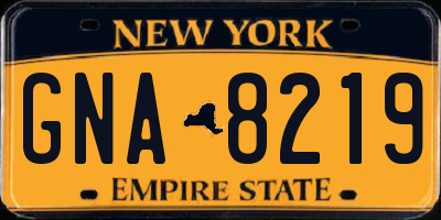 NY license plate GNA8219