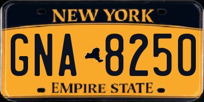 NY license plate GNA8250