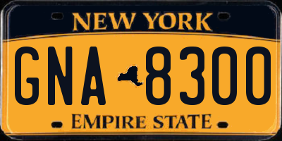 NY license plate GNA8300