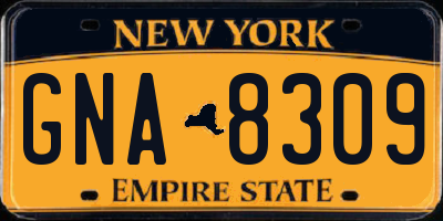 NY license plate GNA8309