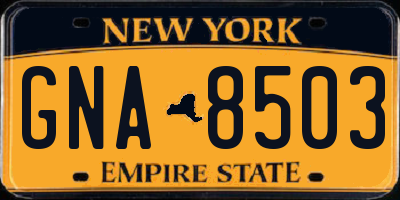 NY license plate GNA8503