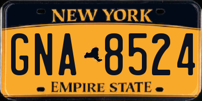 NY license plate GNA8524