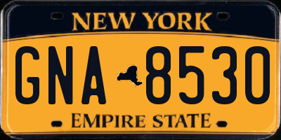 NY license plate GNA8530