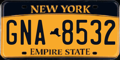NY license plate GNA8532