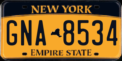 NY license plate GNA8534