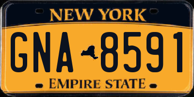 NY license plate GNA8591