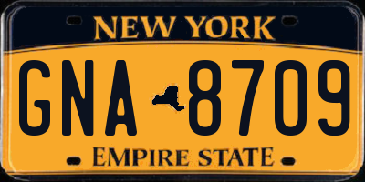 NY license plate GNA8709