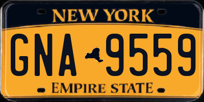 NY license plate GNA9559