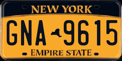 NY license plate GNA9615