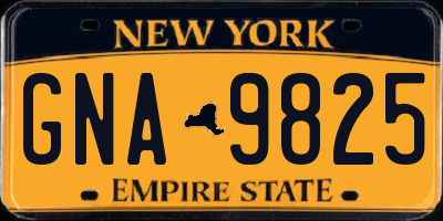 NY license plate GNA9825