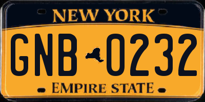 NY license plate GNB0232