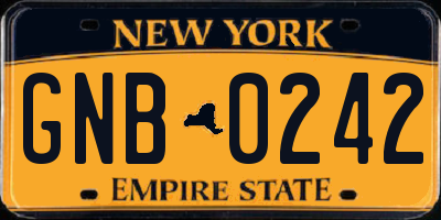 NY license plate GNB0242