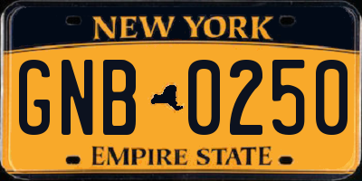 NY license plate GNB0250