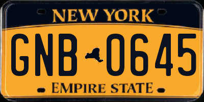 NY license plate GNB0645