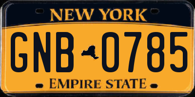 NY license plate GNB0785
