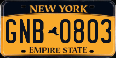 NY license plate GNB0803