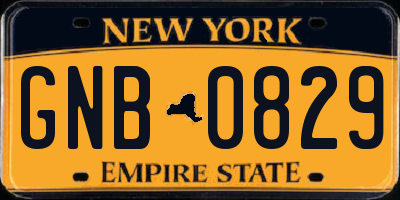 NY license plate GNB0829