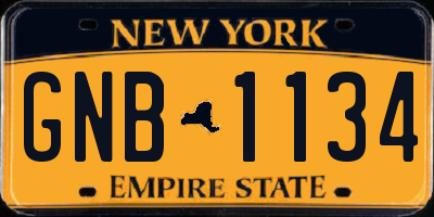 NY license plate GNB1134