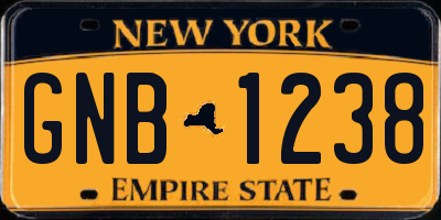 NY license plate GNB1238