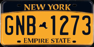 NY license plate GNB1273
