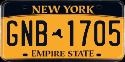NY license plate GNB1705
