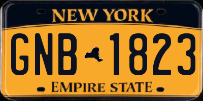 NY license plate GNB1823