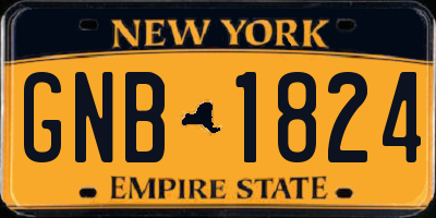 NY license plate GNB1824