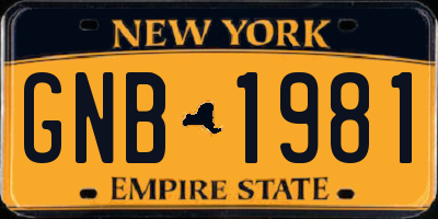 NY license plate GNB1981